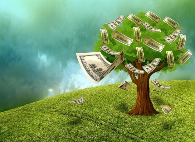money-tree-1024×747